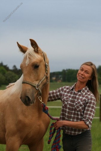 Golden Rolex Golden Rolex