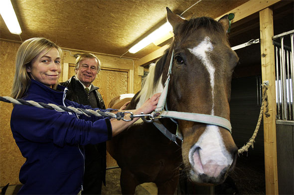 Hestemassage Hestemassage